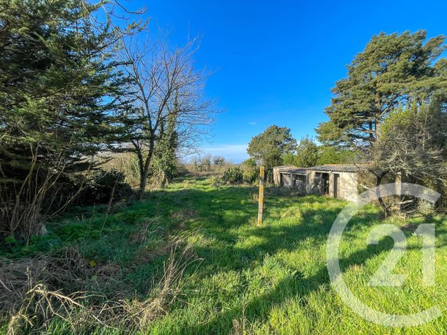 Afficher la photo en grand maison à vendre - 2 pièces - 54.18 m2 - VAIRE - 85 - PAYS-DE-LOIRE - Century 21 Bleu Marine