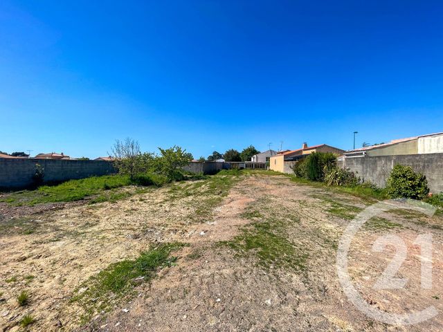 terrain - OLONNE SUR MER - 85
