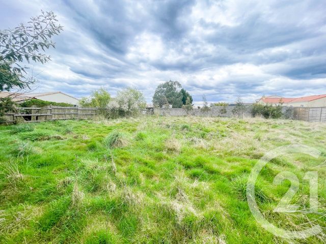 terrain - L ILE D OLONNE - 85