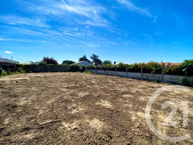 terrain - L ILE D OLONNE - 85