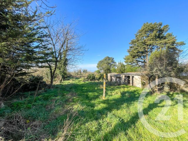 maison à vendre - 5 pièces - 162.98 m2 - VAIRE - 85 - PAYS-DE-LOIRE - Century 21 Bleu Marine