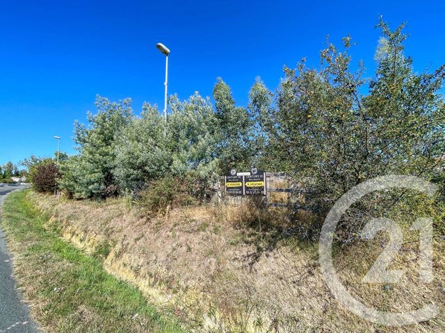terrain à vendre - 250.0 m2 - L ILE D OLONNE - 85 - PAYS-DE-LOIRE - Century 21 Bleu Marine