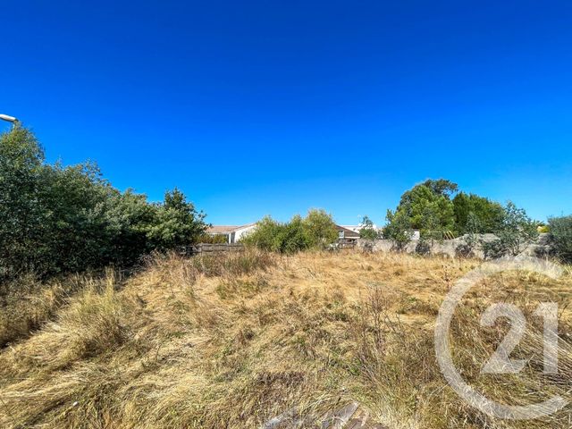 terrain à vendre - 250.0 m2 - L ILE D OLONNE - 85 - PAYS-DE-LOIRE - Century 21 Bleu Marine