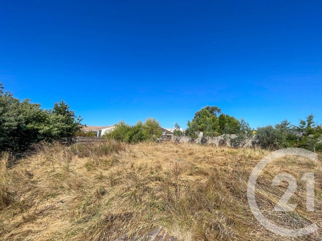 terrain à vendre - 316.0 m2 - L ILE D OLONNE - 85 - PAYS-DE-LOIRE - Century 21 Bleu Marine
