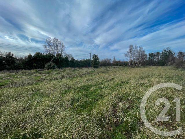 terrain à vendre - 1250.0 m2 - OLONNE SUR MER - 85 - PAYS-DE-LOIRE - Century 21 Bleu Marine