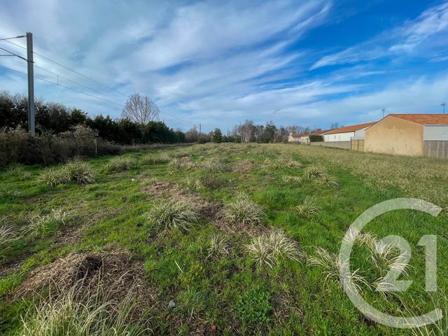 terrain à vendre - 1250.0 m2 - OLONNE SUR MER - 85 - PAYS-DE-LOIRE - Century 21 Bleu Marine