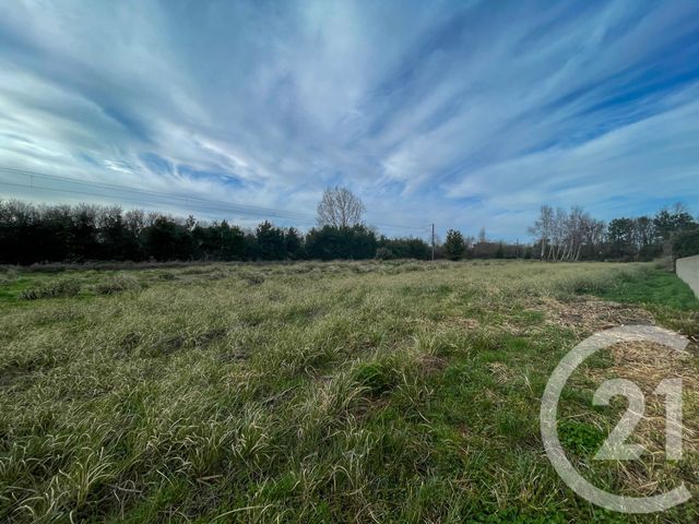 terrain à vendre - 1250.0 m2 - OLONNE SUR MER - 85 - PAYS-DE-LOIRE - Century 21 Bleu Marine