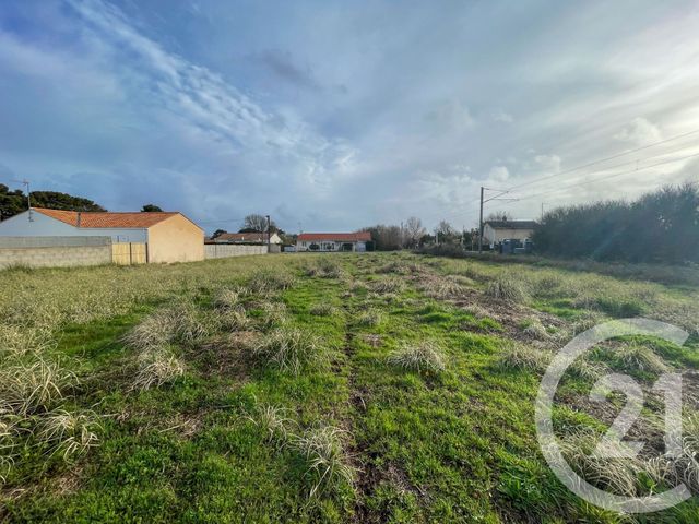 terrain à vendre - 1250.0 m2 - OLONNE SUR MER - 85 - PAYS-DE-LOIRE - Century 21 Bleu Marine