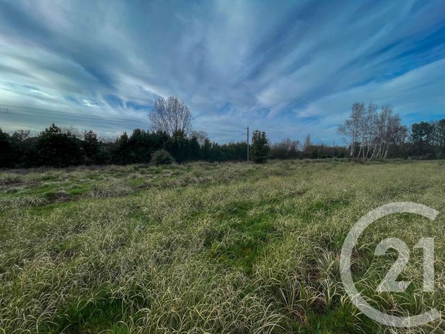 terrain à vendre - 1250.0 m2 - OLONNE SUR MER - 85 - PAYS-DE-LOIRE - Century 21 Bleu Marine