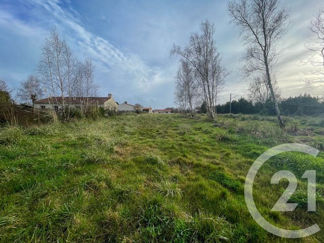 terrain à vendre - 2400.0 m2 - OLONNE SUR MER - 85 - PAYS-DE-LOIRE - Century 21 Bleu Marine