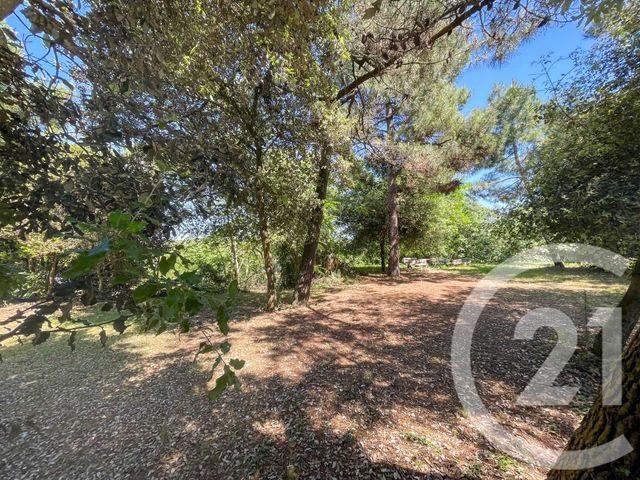 terrain à vendre - 1024.0 m2 - LES SABLES D OLONNE - 85 - PAYS-DE-LOIRE - Century 21 Bleu Marine