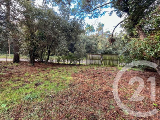 terrain à vendre - 1024.0 m2 - LES SABLES D OLONNE - 85 - PAYS-DE-LOIRE - Century 21 Bleu Marine