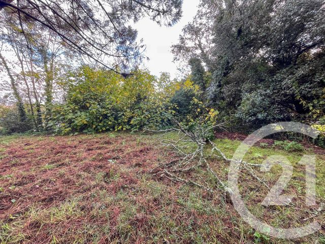 terrain à vendre - 1024.0 m2 - LES SABLES D OLONNE - 85 - PAYS-DE-LOIRE - Century 21 Bleu Marine