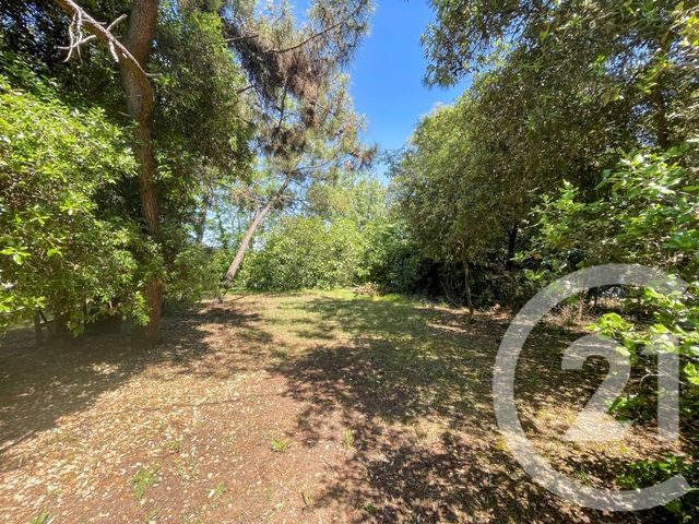 terrain à vendre - 1024.0 m2 - LES SABLES D OLONNE - 85 - PAYS-DE-LOIRE - Century 21 Bleu Marine