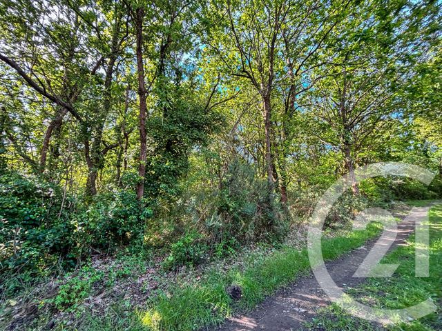 terrain à vendre - 1115.0 m2 - OLONNE SUR MER - 85 - PAYS-DE-LOIRE - Century 21 Bleu Marine
