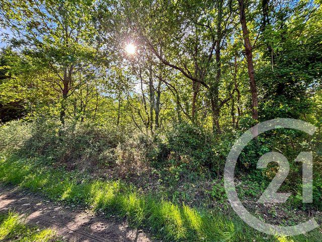 terrain - OLONNE SUR MER - 85