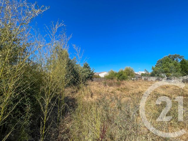 terrain à vendre - 566.0 m2 - L ILE D OLONNE - 85 - PAYS-DE-LOIRE - Century 21 Bleu Marine