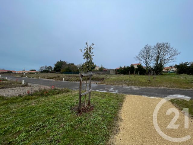 terrain à vendre - 424.0 m2 - OLONNE SUR MER - 85 - PAYS-DE-LOIRE - Century 21 Bleu Marine