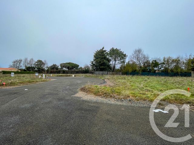 terrain à vendre - 378.0 m2 - OLONNE SUR MER - 85 - PAYS-DE-LOIRE - Century 21 Bleu Marine