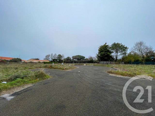 terrain à vendre - 378.0 m2 - OLONNE SUR MER - 85 - PAYS-DE-LOIRE - Century 21 Bleu Marine