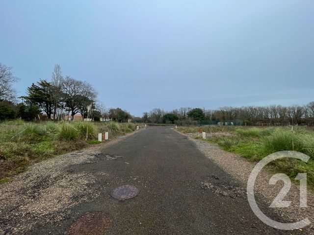 terrain à vendre - 378.0 m2 - OLONNE SUR MER - 85 - PAYS-DE-LOIRE - Century 21 Bleu Marine