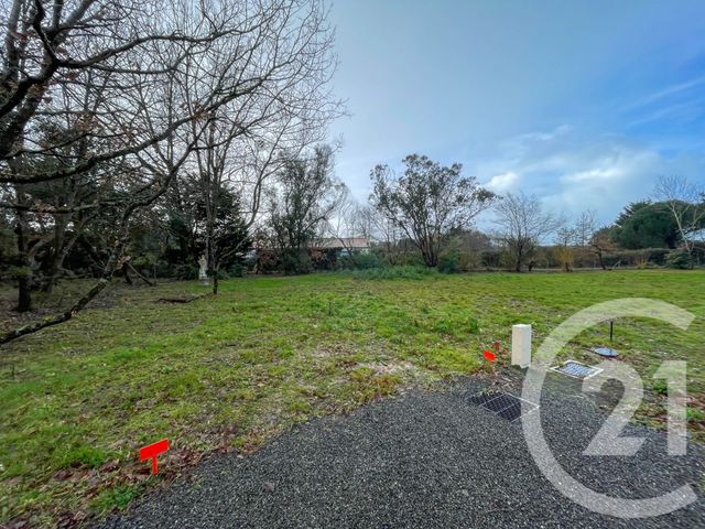 terrain à vendre - 732.0 m2 - CHATEAU D OLONNE - 85 - PAYS-DE-LOIRE - Century 21 Bleu Marine