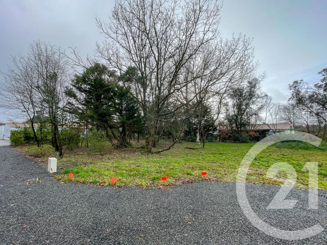 terrain à vendre - 732.0 m2 - CHATEAU D OLONNE - 85 - PAYS-DE-LOIRE - Century 21 Bleu Marine