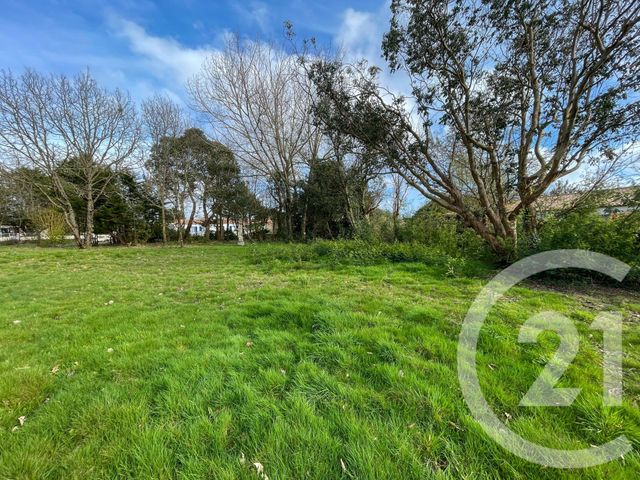 terrain à vendre - 1424.0 m2 - CHATEAU D OLONNE - 85 - PAYS-DE-LOIRE - Century 21 Bleu Marine