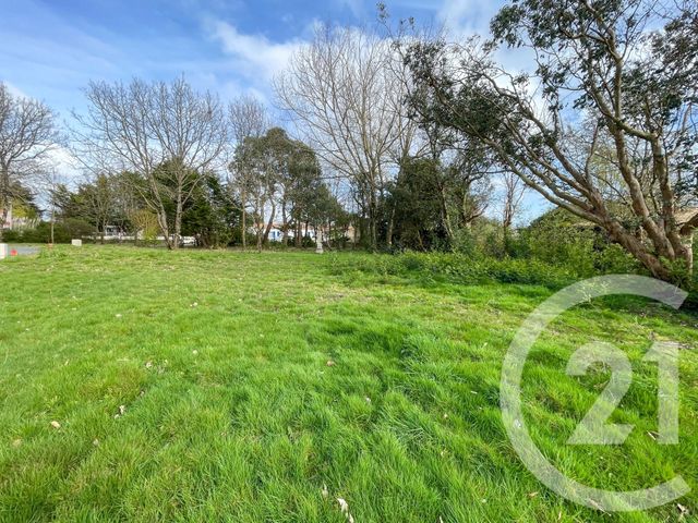 terrain à vendre - 1424.0 m2 - CHATEAU D OLONNE - 85 - PAYS-DE-LOIRE - Century 21 Bleu Marine