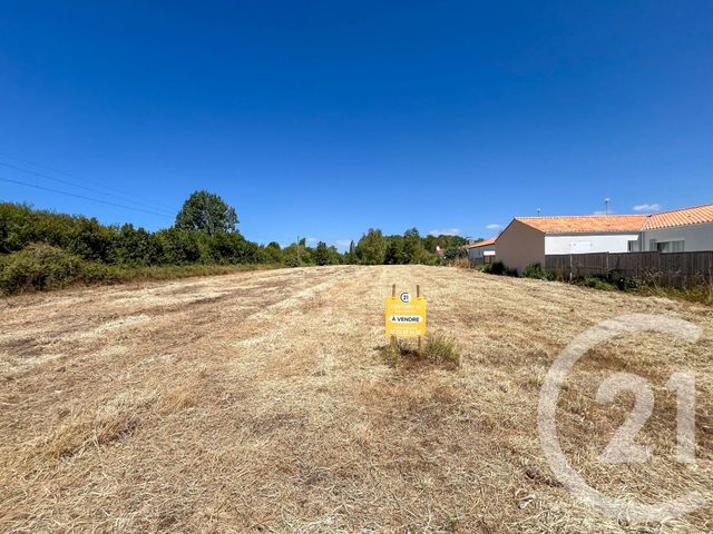 terrain à vendre - 3649.0 m2 - OLONNE SUR MER - 85 - PAYS-DE-LOIRE - Century 21 Bleu Marine
