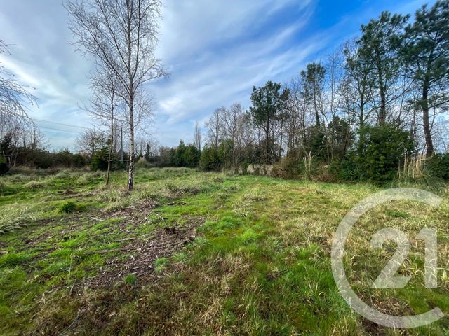 terrain à vendre - 3649.0 m2 - OLONNE SUR MER - 85 - PAYS-DE-LOIRE - Century 21 Bleu Marine