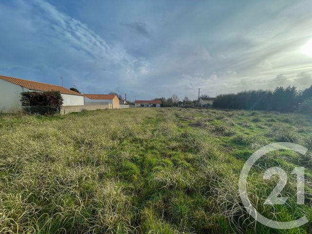 terrain à vendre - 3649.0 m2 - OLONNE SUR MER - 85 - PAYS-DE-LOIRE - Century 21 Bleu Marine