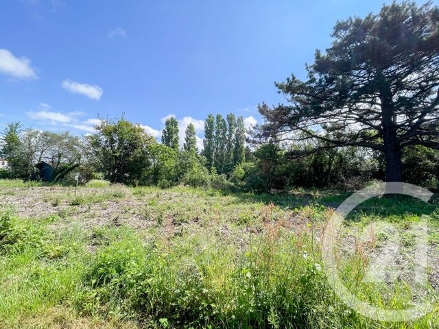 terrain à vendre - 823.0 m2 - OLONNE SUR MER - 85 - PAYS-DE-LOIRE - Century 21 Bleu Marine