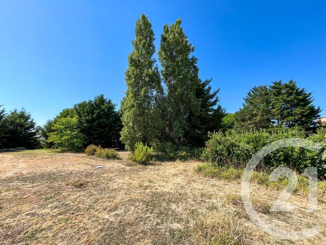 maison à vendre - 7 pièces - 174.04 m2 - OLONNE SUR MER - 85 - PAYS-DE-LOIRE - Century 21 Bleu Marine
