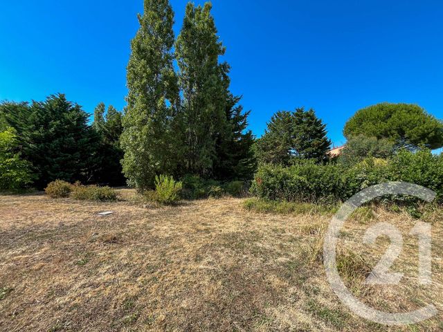 maison à vendre - 7 pièces - 174.04 m2 - OLONNE SUR MER - 85 - PAYS-DE-LOIRE - Century 21 Bleu Marine