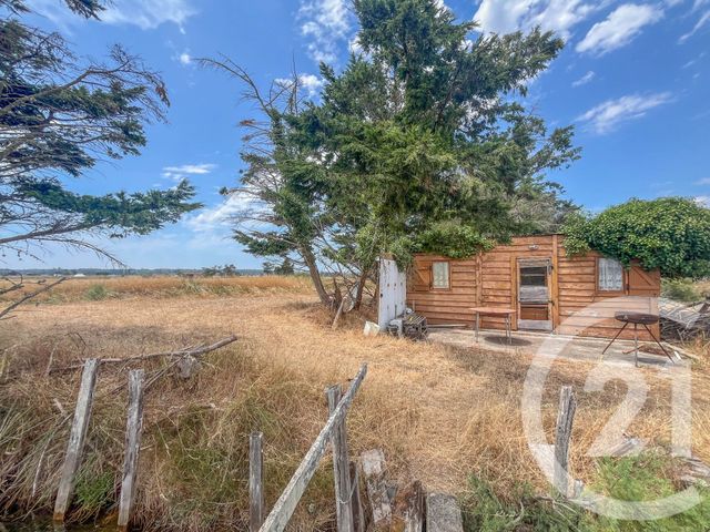 terrain à vendre - 13290.0 m2 - L ILE D OLONNE - 85 - PAYS-DE-LOIRE - Century 21 Bleu Marine
