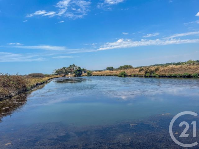 terrain à vendre - 13290.0 m2 - L ILE D OLONNE - 85 - PAYS-DE-LOIRE - Century 21 Bleu Marine