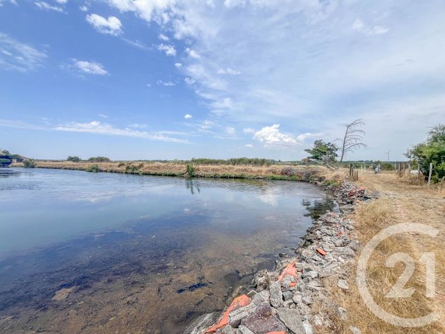 terrain à vendre - 13290.0 m2 - L ILE D OLONNE - 85 - PAYS-DE-LOIRE - Century 21 Bleu Marine