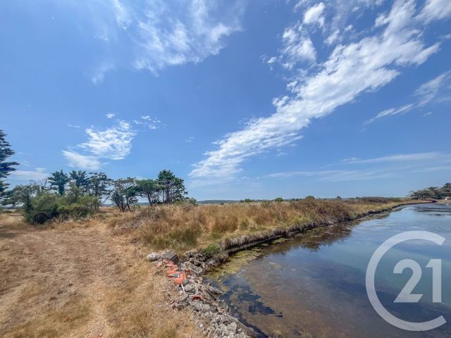 terrain à vendre - 13290.0 m2 - L ILE D OLONNE - 85 - PAYS-DE-LOIRE - Century 21 Bleu Marine