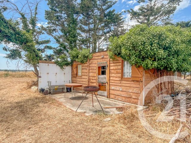 terrain à vendre - 13290.0 m2 - L ILE D OLONNE - 85 - PAYS-DE-LOIRE - Century 21 Bleu Marine
