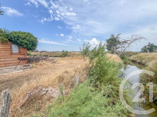 terrain à vendre - 13290.0 m2 - L ILE D OLONNE - 85 - PAYS-DE-LOIRE - Century 21 Bleu Marine
