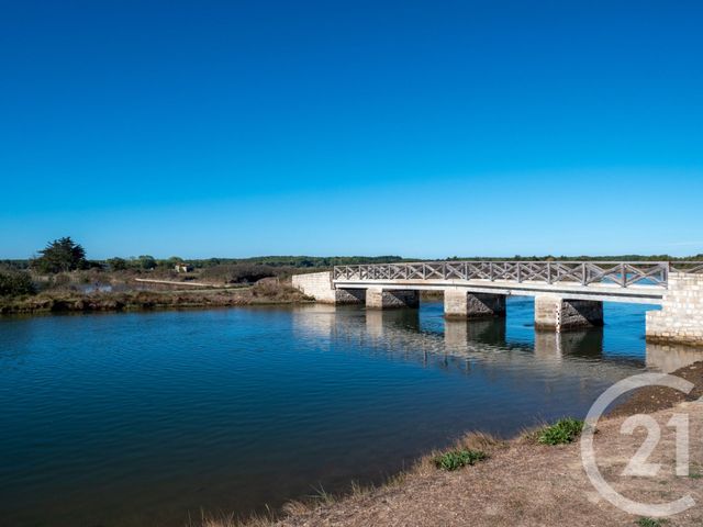 terrain à vendre - 566.0 m2 - L ILE D OLONNE - 85 - PAYS-DE-LOIRE - Century 21 Bleu Marine