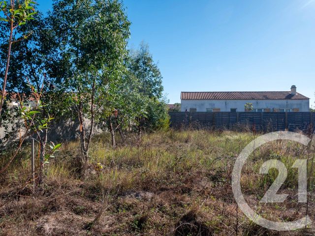 terrain à vendre - 566.0 m2 - L ILE D OLONNE - 85 - PAYS-DE-LOIRE - Century 21 Bleu Marine