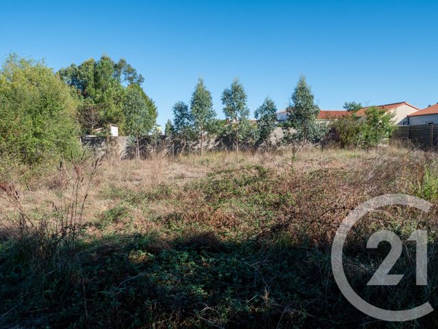 terrain à vendre - 566.0 m2 - L ILE D OLONNE - 85 - PAYS-DE-LOIRE - Century 21 Bleu Marine