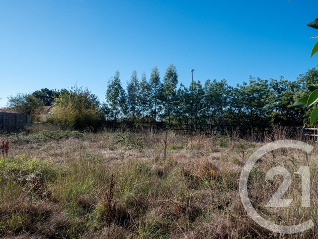 terrain à vendre - 566.0 m2 - L ILE D OLONNE - 85 - PAYS-DE-LOIRE - Century 21 Bleu Marine