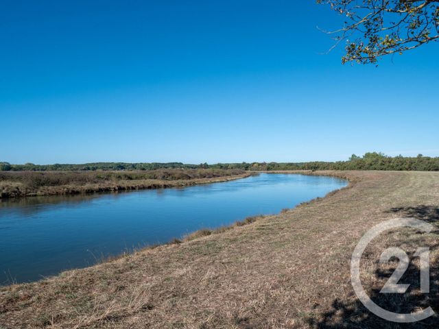terrain à vendre - 250.0 m2 - L ILE D OLONNE - 85 - PAYS-DE-LOIRE - Century 21 Bleu Marine