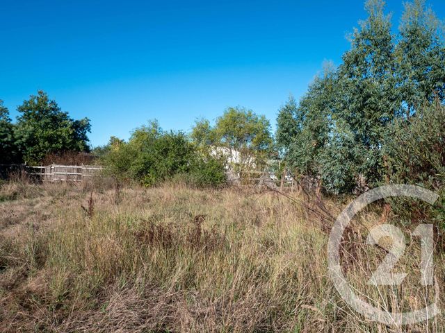 terrain à vendre - 316.0 m2 - L ILE D OLONNE - 85 - PAYS-DE-LOIRE - Century 21 Bleu Marine