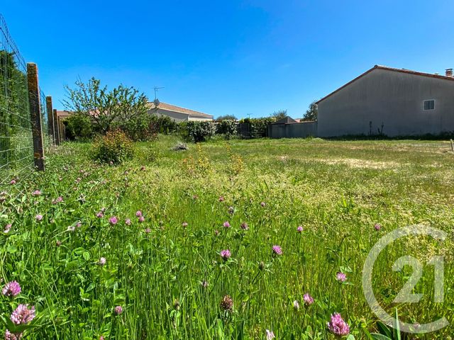 terrain - CHATEAU D OLONNE - 85