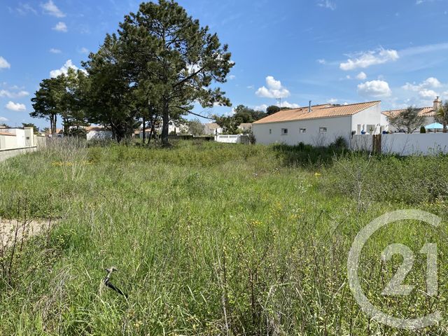 terrain à vendre - 843.0 m2 - OLONNE SUR MER - 85 - PAYS-DE-LOIRE - Century 21 Bleu Marine