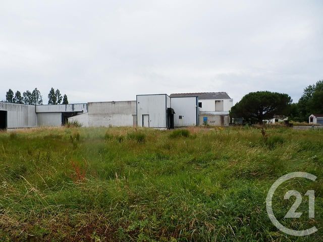 commerce à vendre - 21398.0 m2 - ST JEAN DE MONTS - 85 - PAYS-DE-LOIRE - Century 21 Bleu Marine